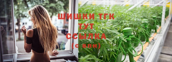 спайс Алзамай